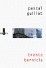 Guillet : Branta Bernicla