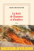 Mizubayashi  : La forêt de flammes et d'ombres