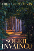 Guillaumin  : Soleil invaincu