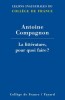 Compagnon : La Littérature - pourquoi faire ?