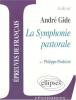 Etude sur : Gide : La symphonie pastorale