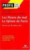 Etude sur : Baudelaire : Les Fleurs du Mal - Le Spleen de Paris