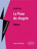 Etude sur : Balzac : La Peau de chagrin (éd. 2015)